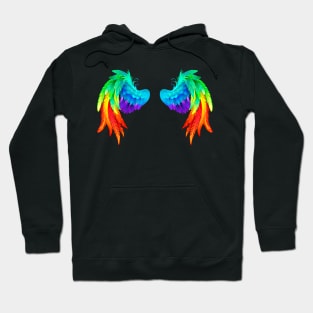 Bright rainbow wings Hoodie